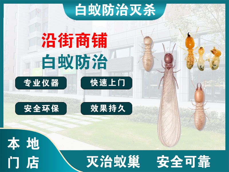 瑞安市沿街商铺白蚁防治