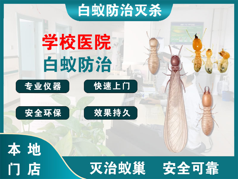 瑞安市学校医院白蚁防治