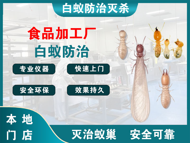 瑞安市食品加工厂白蚁防治