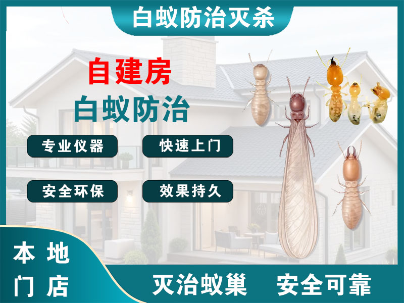 瑞安市自建房白蚁防治