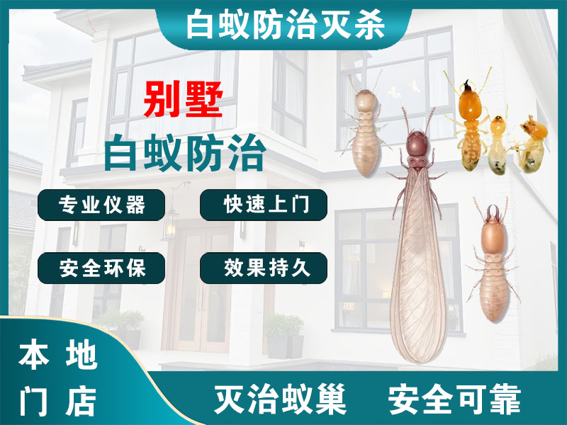 瑞安市别墅白蚁防治