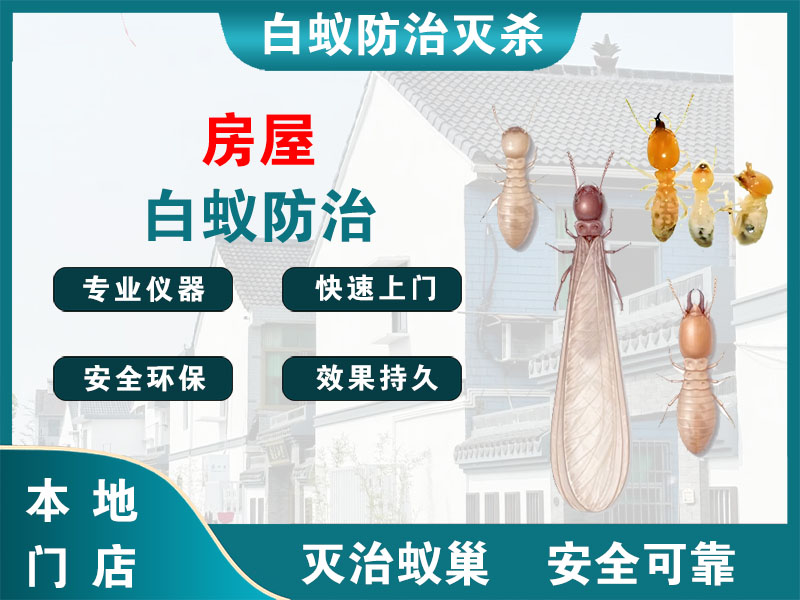 瑞安市房屋白蚁防治